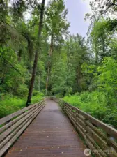 Scenic Fennel Creek Trail