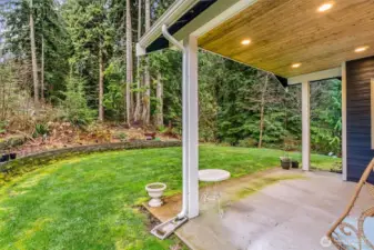 A view from the back patio looking out to the more than 5 acres of your wooded property
