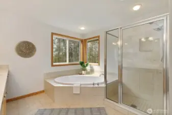 Primary ensuite bathroom with soaking tub and walk-in shower.
