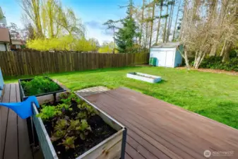 Bright, open backyard with raised garden beds.