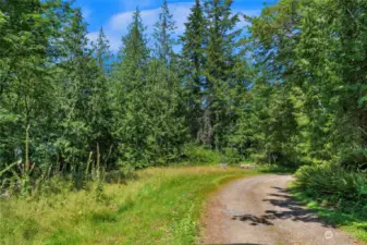 Treeline to the left of the easement road was going to be thinned to open the view for sellers home.