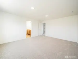 Spacious Primary/Main bedroom