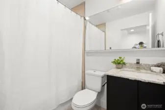 Lower Level- Full Bath with high end fixtures, beautiful tiles and lots of space