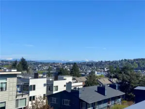 NE View from rooftop