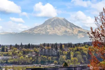 Such an amazing Mt Rainier view!