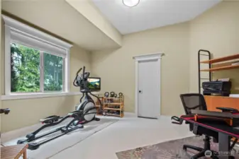 Den/office and/or workout room too! Even a 5th BR, if needed (no closet) - door leads to mechanicals.