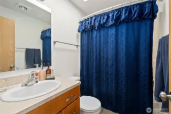 1408 primary bathroom