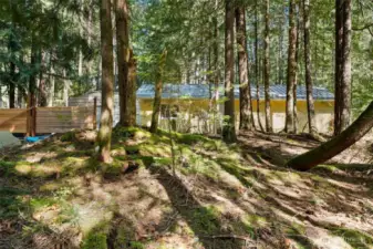 Looking for forest fairies could be your new past-time!