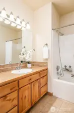 Guest Bathroom with tub/shower combo.