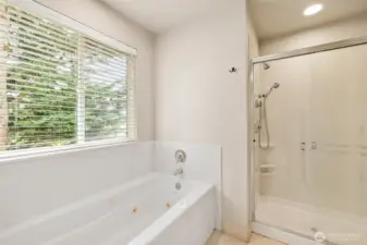 Over-sized jetted tub and large walk-in shower.