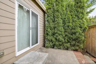 Sliding door in family room leads to back patio.