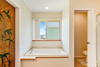 Another view of primary ensuite.