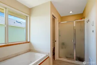 Walk in shower and separate water closet.