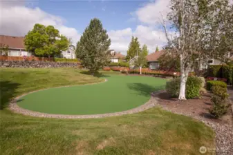 Siena's Putting Green