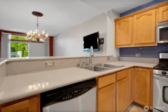 Kitchen looks into dining/living