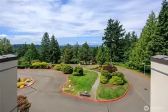 View from patio