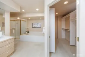 Jacuzzi tub, shower & custom walk in closet