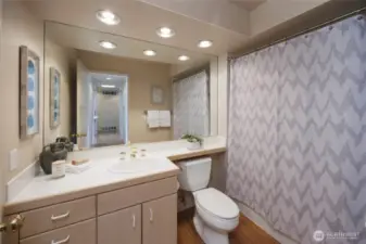 Guest bath