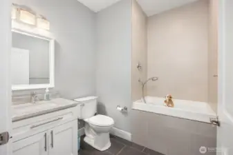 Dog spa & 1/2 bath