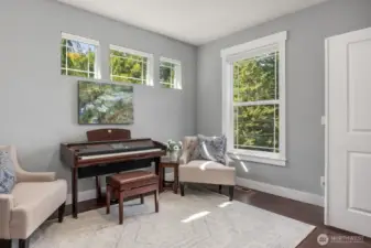 This Bonus/Flex room currently serves as a Music Room.