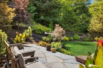 A tranquil stone patio terrace with steps leading to the green lawn.