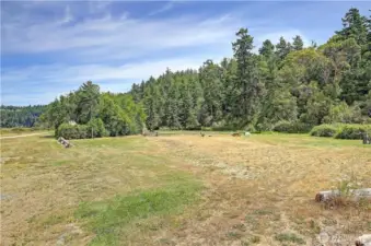 Great spaces for entertaining or exploring, or camping!