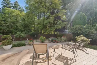 Beautiful Private Backyard