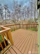 Backyard composite deck