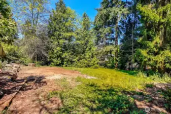 Trees mostly at edge of property.