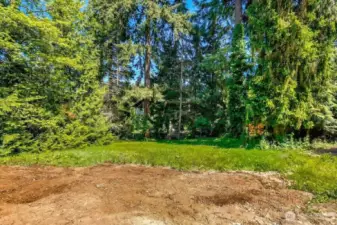 Trees mostly at edge of property.