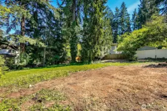 Trees mostly at edge of property.