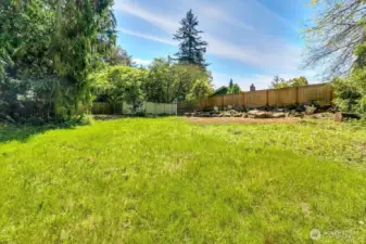 Trees mostly at edge of property.