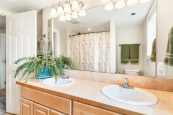 Double sinks in basement bathroom