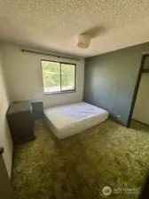 Large Laundry room downstairs with laundry sink