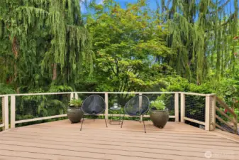 Deck off of media room on lower level