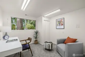 Lower level bedroom/den.