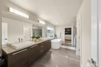 Primary bath with second walk in closet in the distance