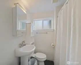 Full bath on the lower level