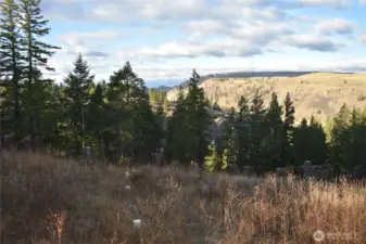 787 NW view & septic laterals