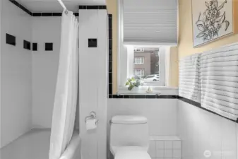 Bathroom - toilet & tub/shower area