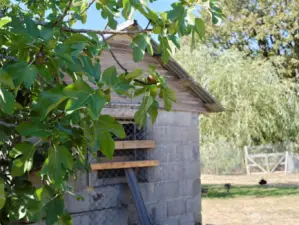 Chicken coop