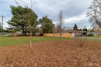 Huge side yard with lots of possibilities!