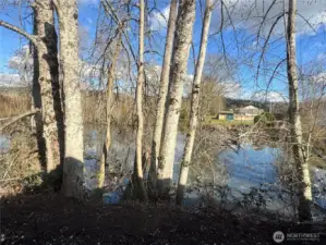 This is the home's back yard!