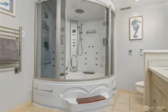 Spa Style Jetted Steam Shower/Tub