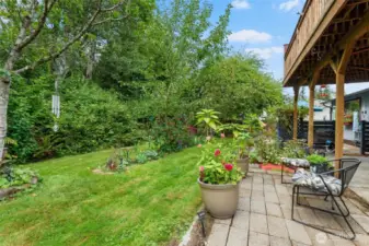 Back yard