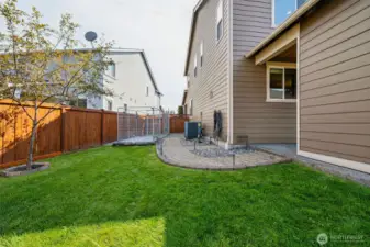 Side yard with large dog run