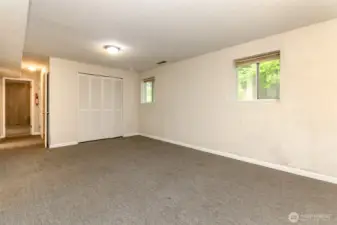 Lower Level Living Room