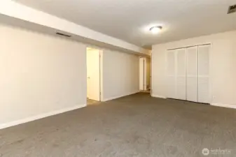 Lower Level Living Room