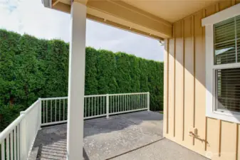 Private back patio with great sun exposure.