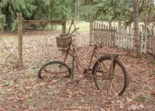 Discovering the amazing treasures.